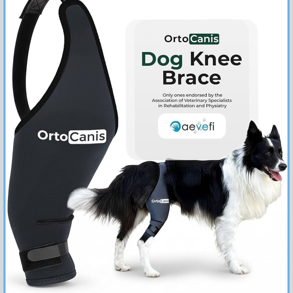 Ortocanis Dog Knee Brace for Hind Leg Support –  (XXS, Right Leg)